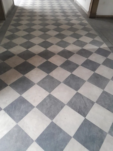 Piso (2)