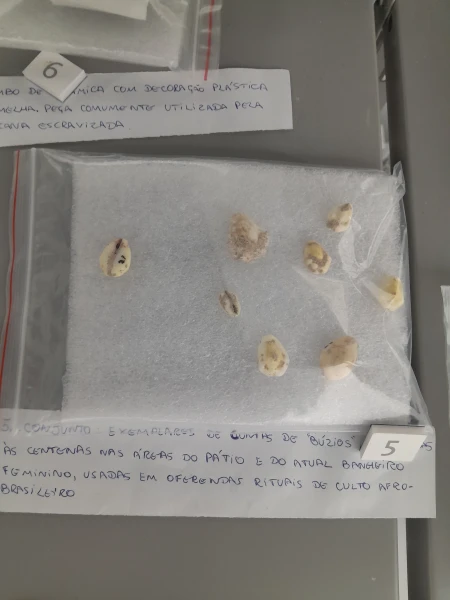 Contas de Búzios (oito)