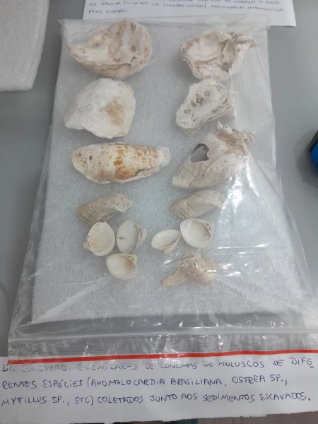 Cerâmica Colonial (fragmentos)